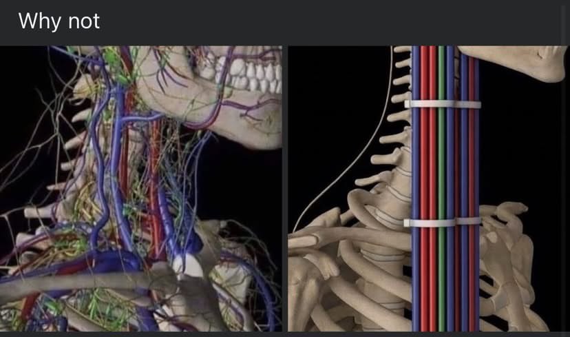 GreveÑ  🇹🇼 格雷芬 tweet media