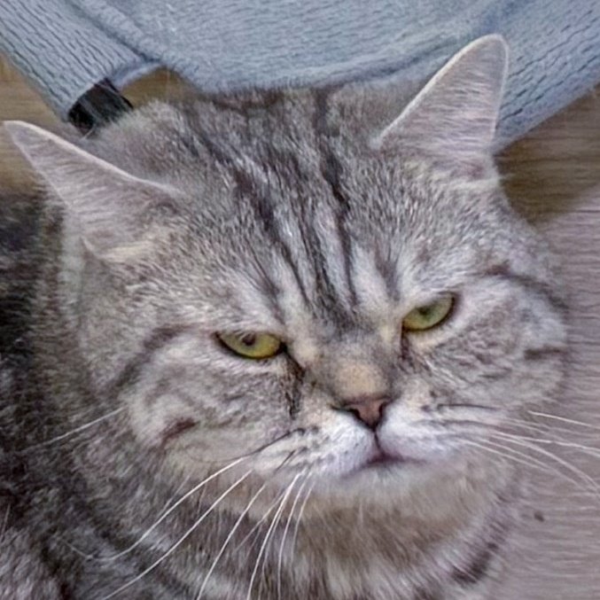 DNA แม่ชนะหมดยกเว้นใบหน้าและแววตา