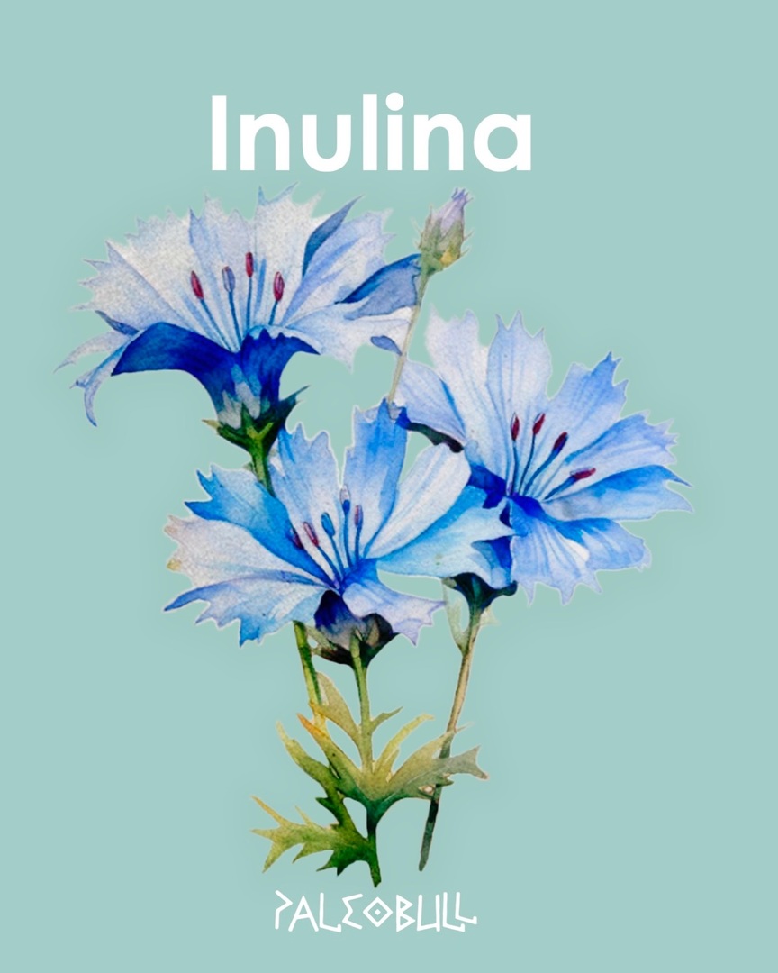 paleobull tweet media