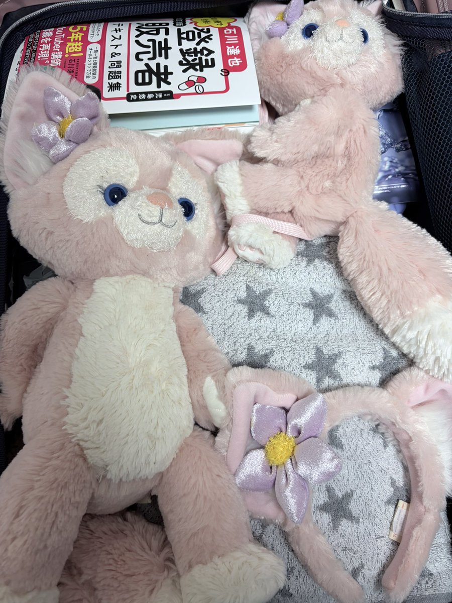 めろ@ダイエット美容垢 tweet media