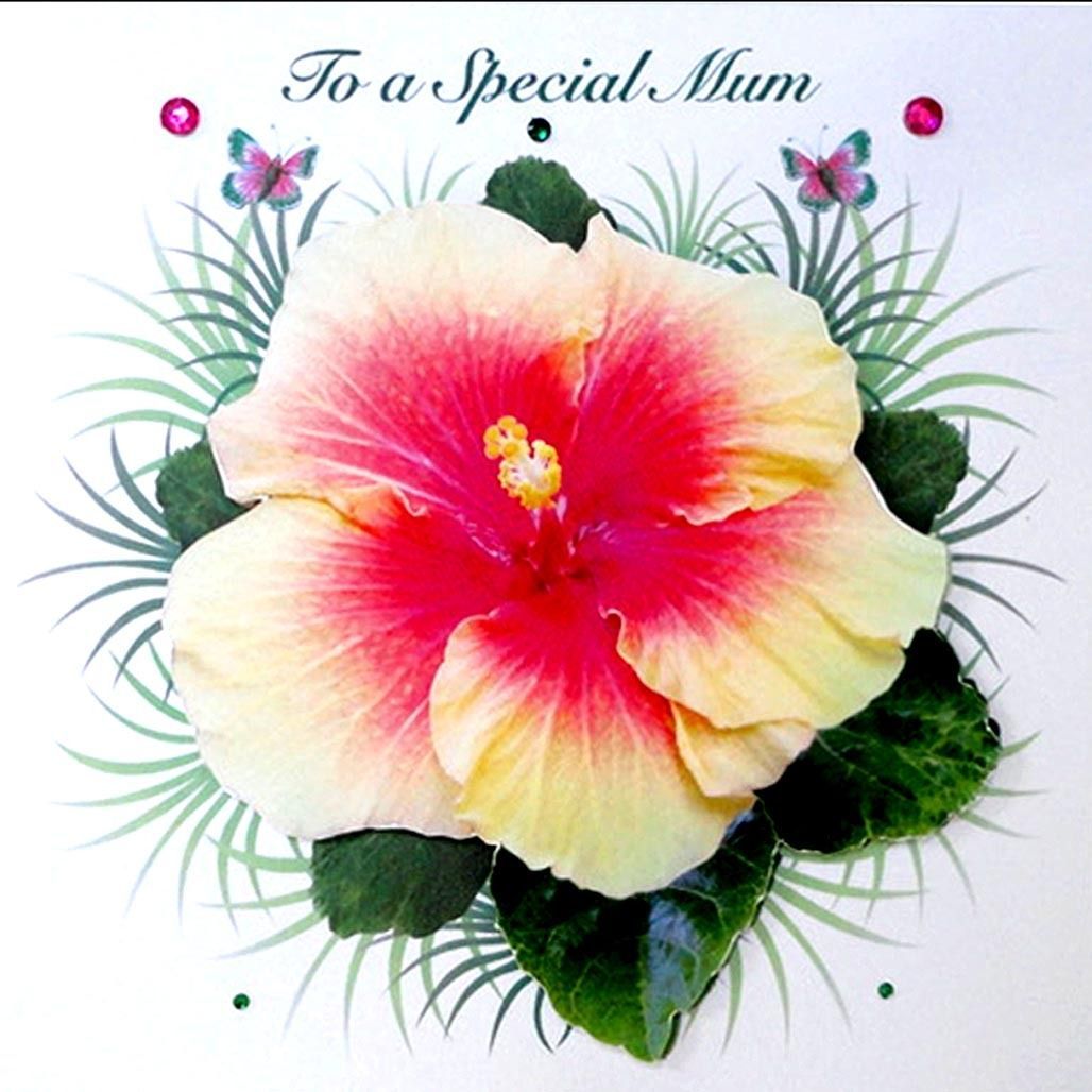 Decorque Cards tweet media