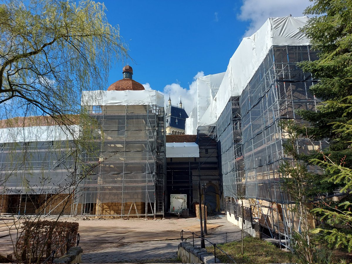 ROJApers tweet media