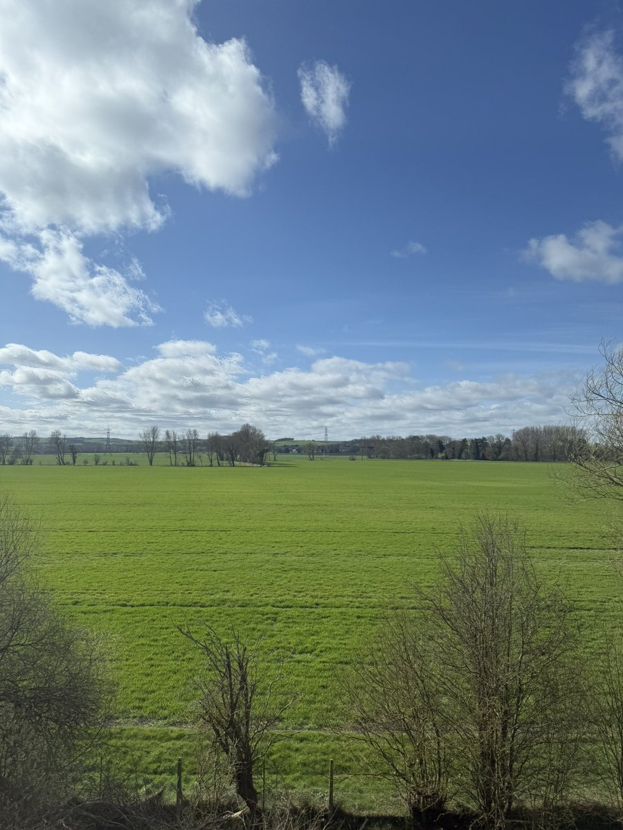 Anthony Michael Kreis, FRHistS tweet media