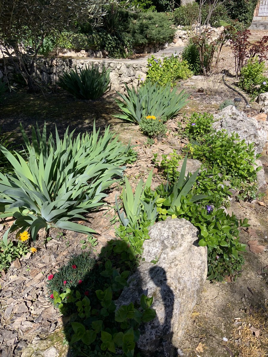 Teresushi tweet media