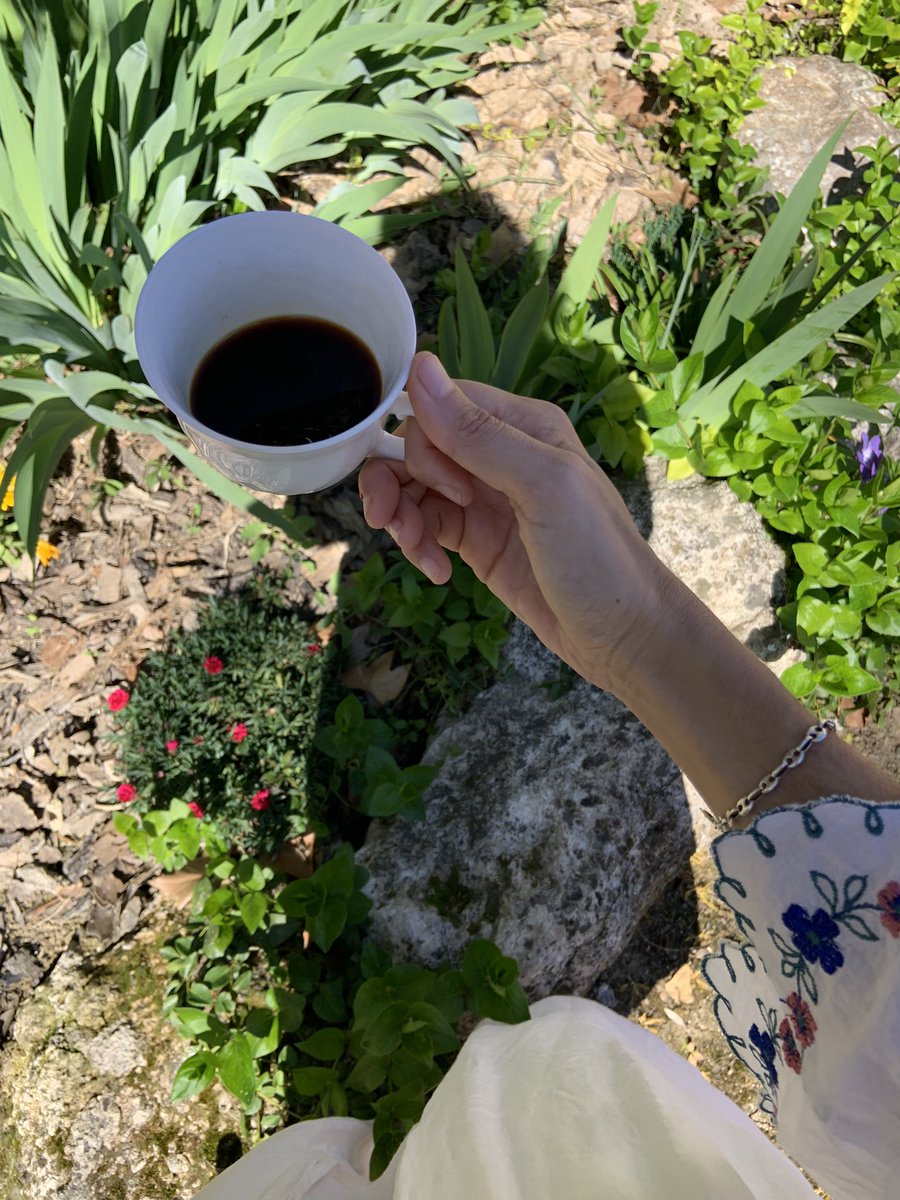 Teresushi tweet media