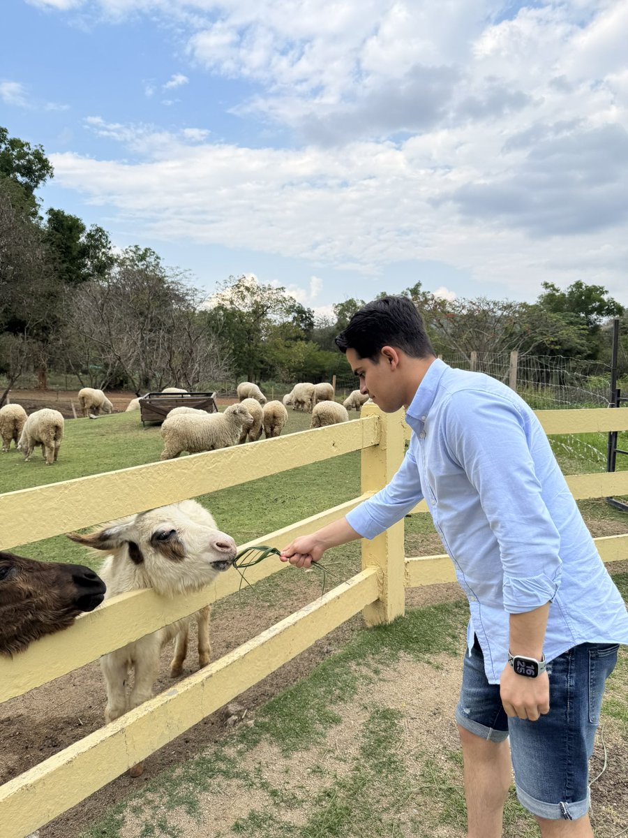 Erfan Bashiri tweet media