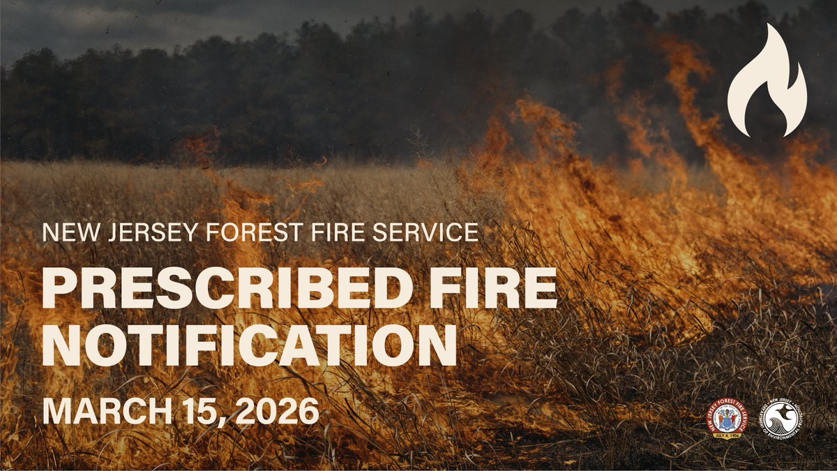 New Jersey Forest Fire Service tweet media