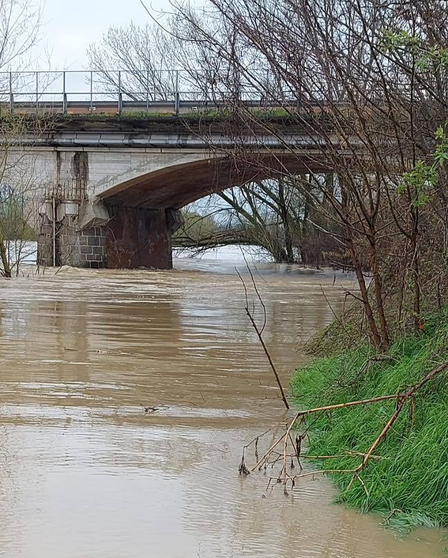 15 Marzo 2026 ore 11:40 
La situazione del fiume #Bormida ad #Alessandria dal ponte sulla SS10 per Spinetta Marengo 

Foto: rdv Laura Ieropoli 
#AllertaMeteo_PIE instagr.am/p/DV50w8-F3hH/