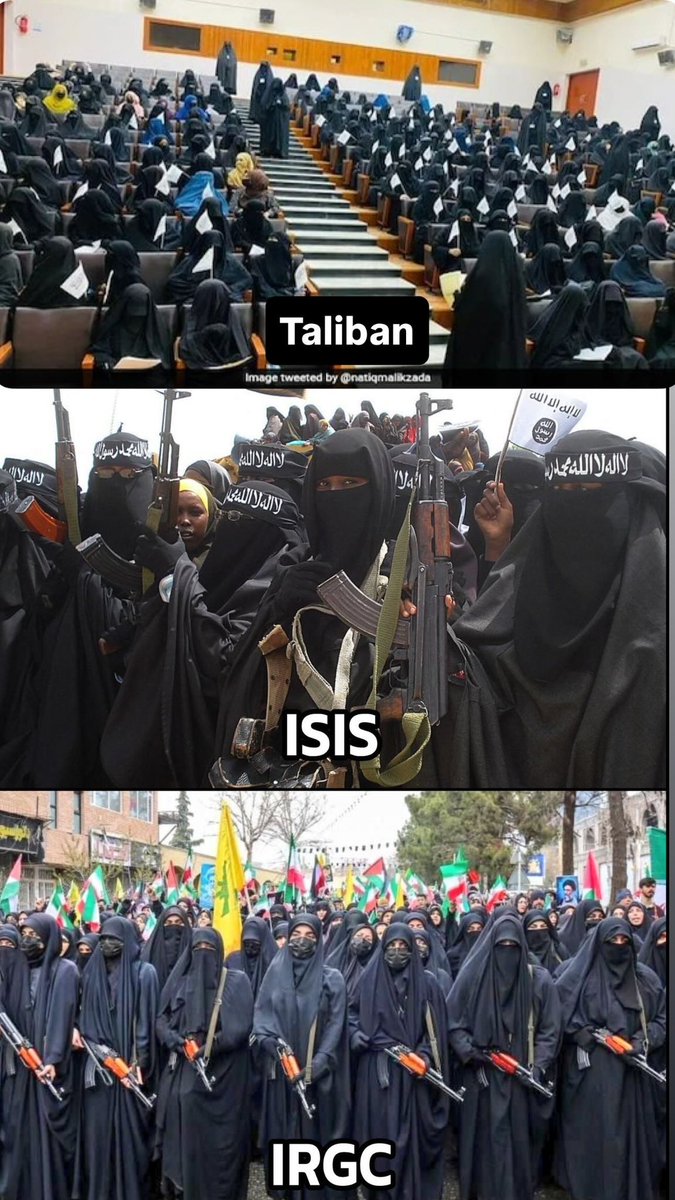 Angela Ghayour (آنجلا غیور) tweet media