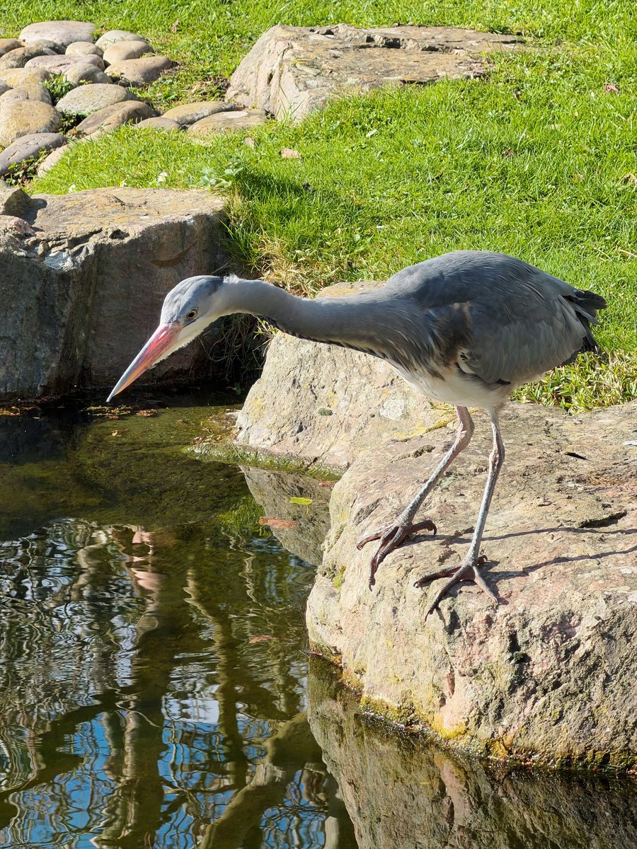 無添加🥖バゲット tweet media