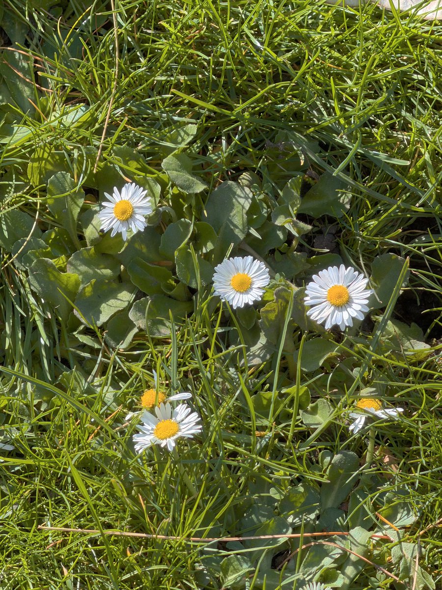 無添加🥖バゲット tweet media