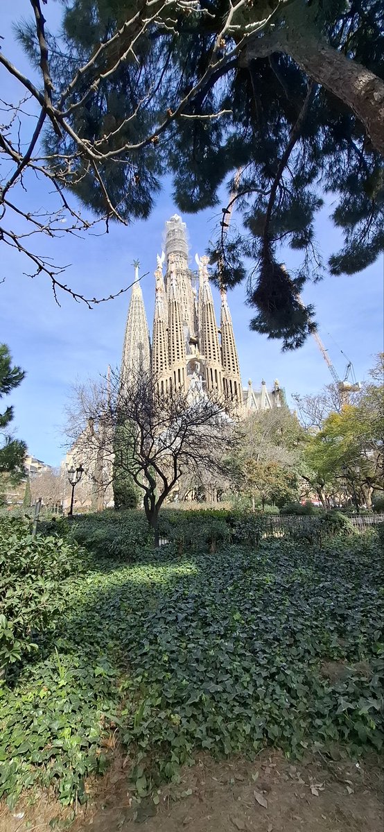 Ⓜ️ichael ⬛⬜⬛⬜ tweet media