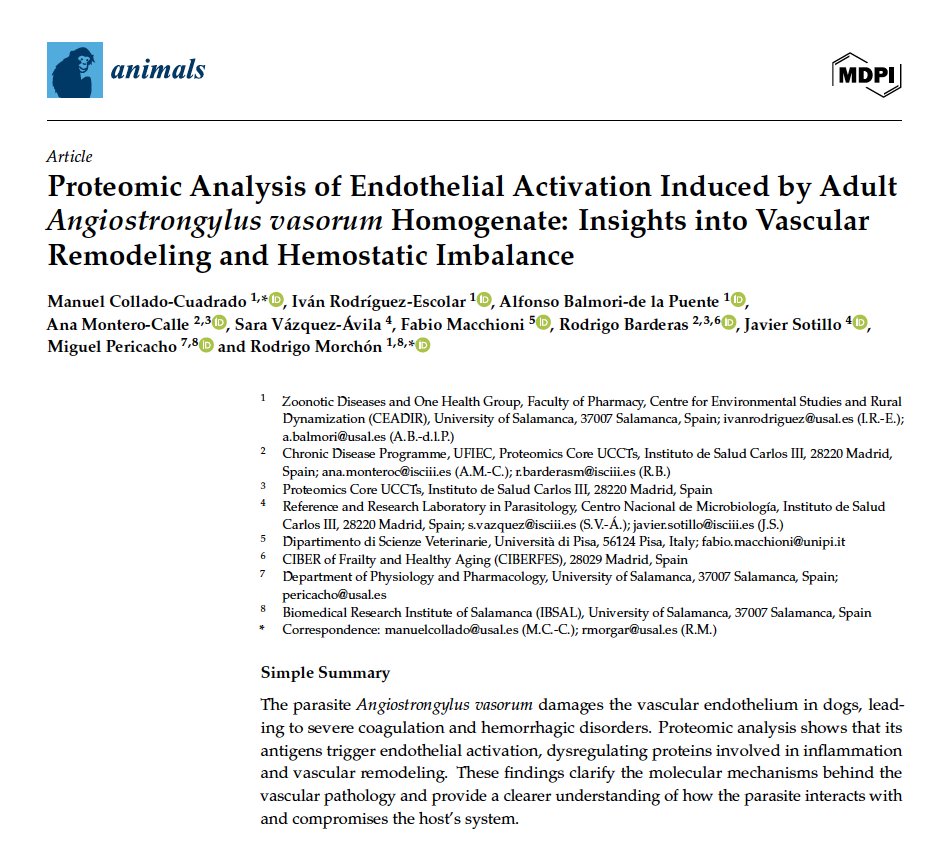 Rodrigo Morchón García tweet media