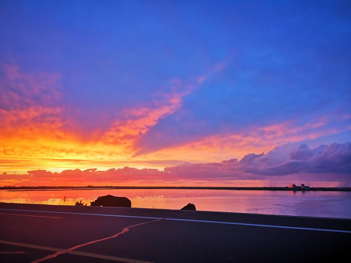 Kristie E tweet media