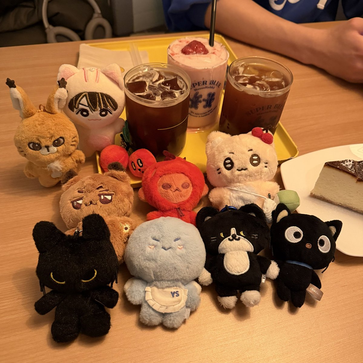 호적메이트들과 함께 마빗 호호 (๑ᵔ⤙ᵔ๑)🩵