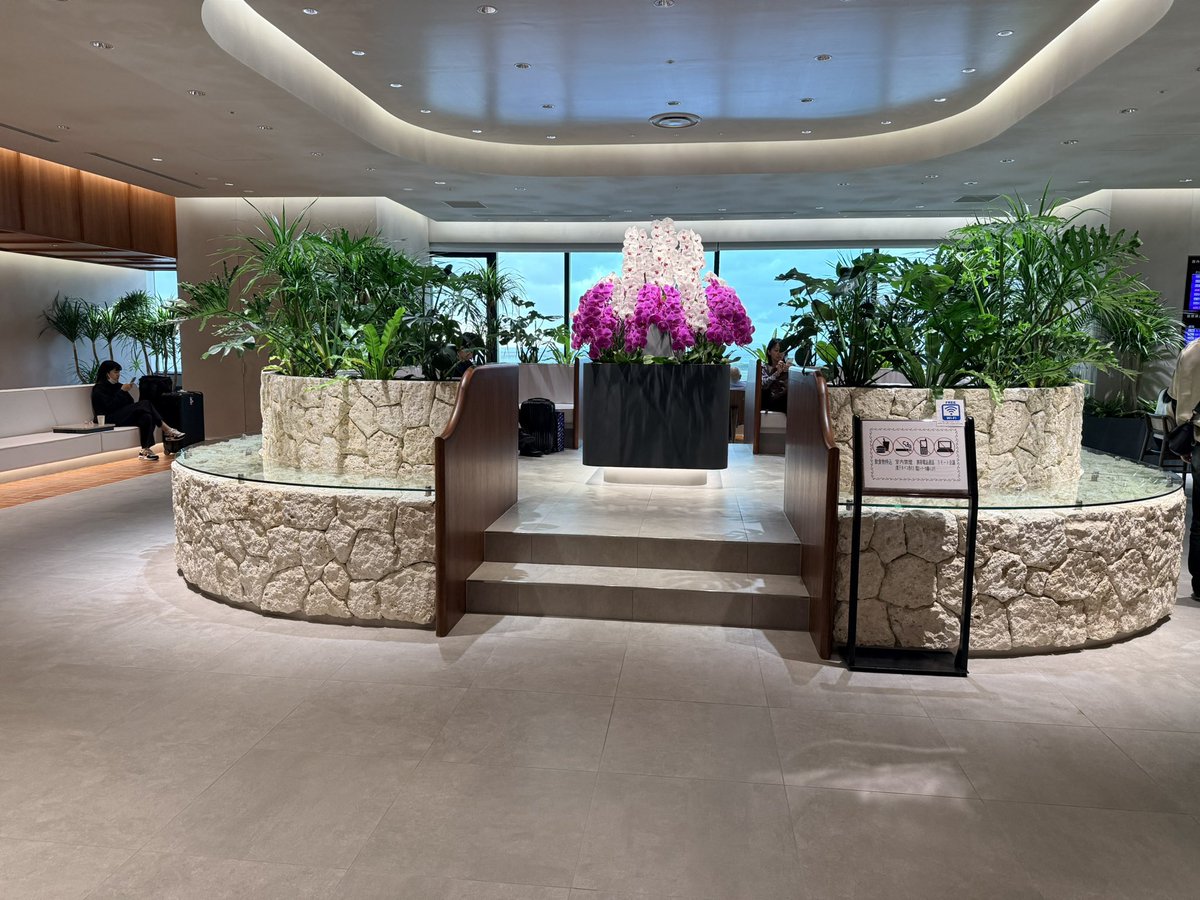 Priscilla tweet media