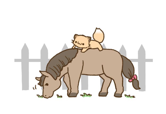 こんこんきちゅねのおもいでฅ•ω•ฅ tweet media