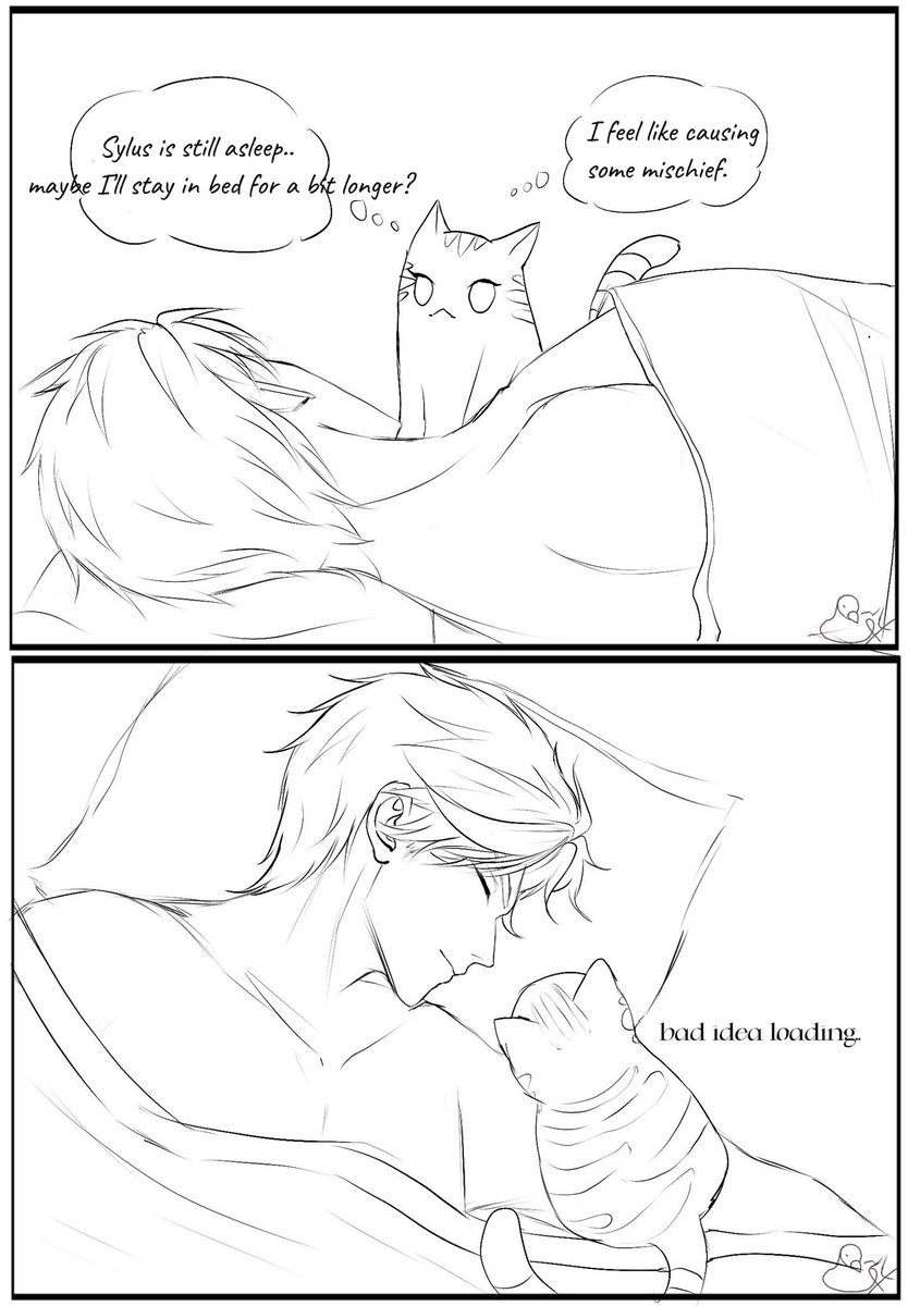 Augustiiiinea's tweet photo. when Kitten becomes a real cat... ✨

Attempted mischief... ended in a trap🐈🐦‍⬛ https://t.co/5aWLi4BD6w