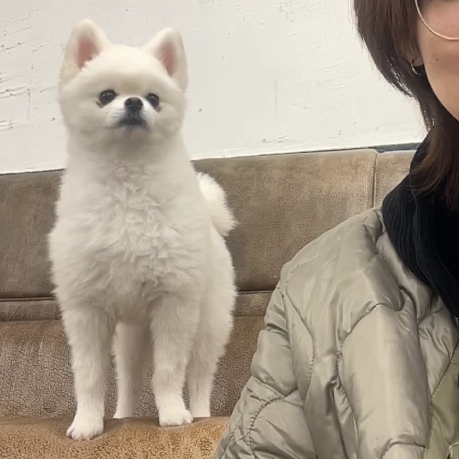 out of context nc tweet media