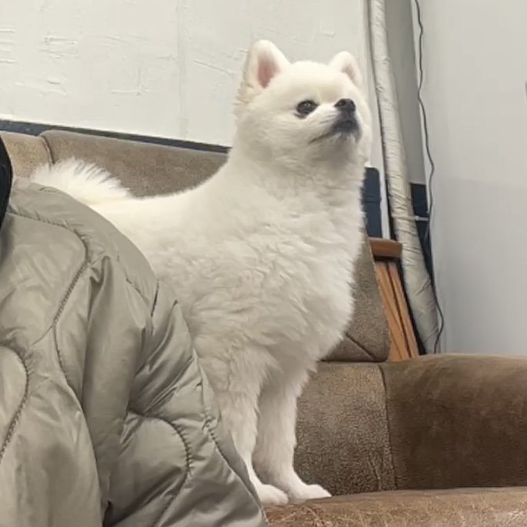 out of context nc tweet media