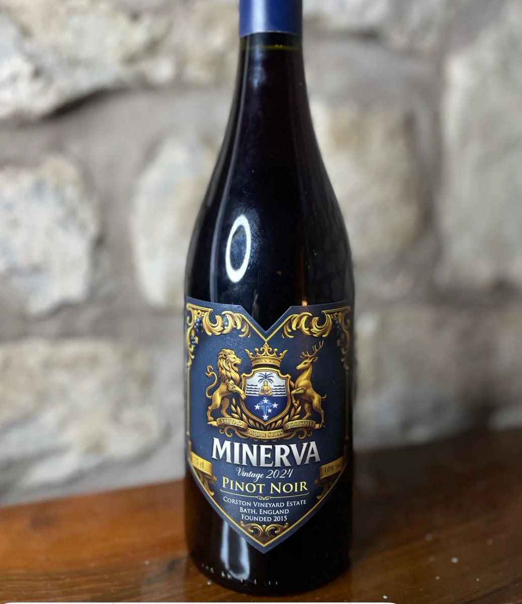 Bath Motor Festival tweet media