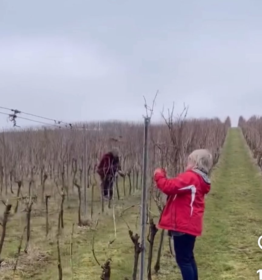 Bath Motor Festival tweet media