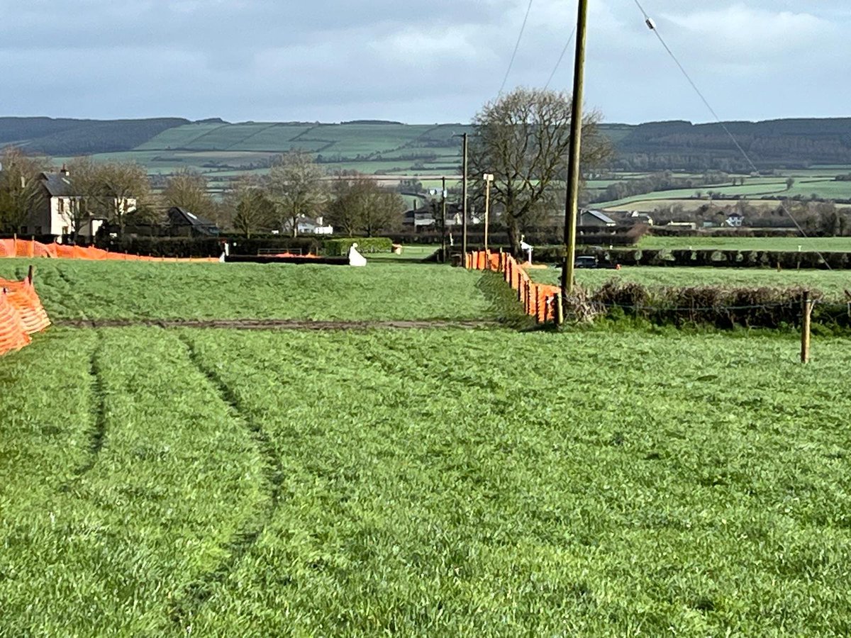 TheINHSC's tweet photo. 🌱Going update at Kilkenny (F) remains heavy, soft in places ahead of todays point to point at Ballyragget

🏇1st race goes to post at 13:00 https://t.co/QJip2WSKXt