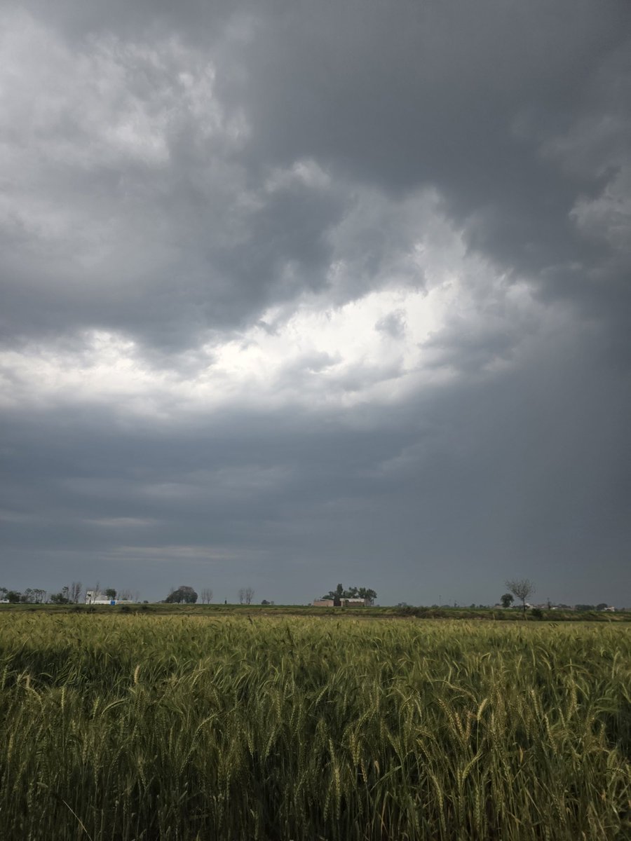 DaaStargoTora's tweet image. On my way from farms. 

#FarmLife
#selfsustainability