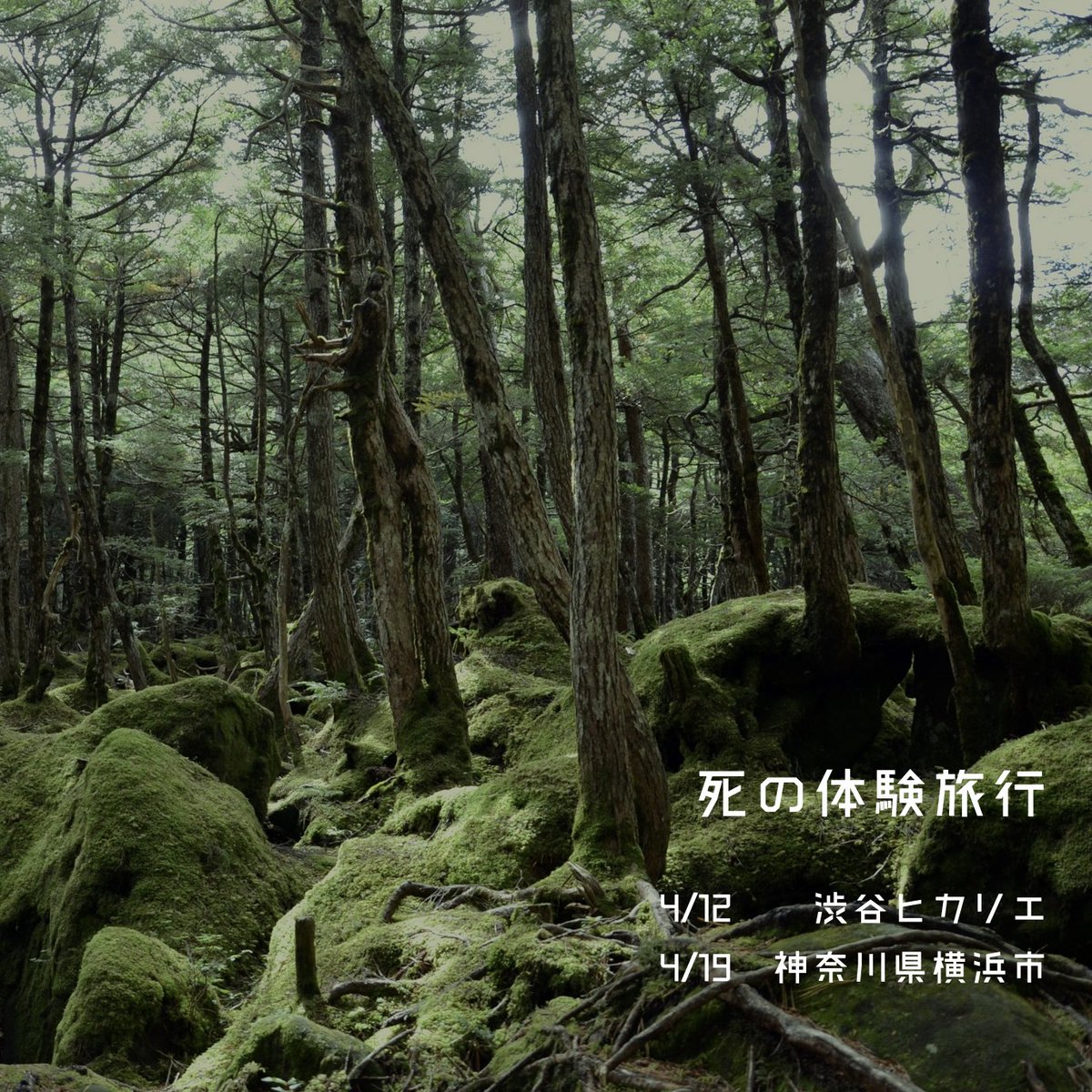 浦上哲也｜僧侶｜死の体験旅行® tweet media