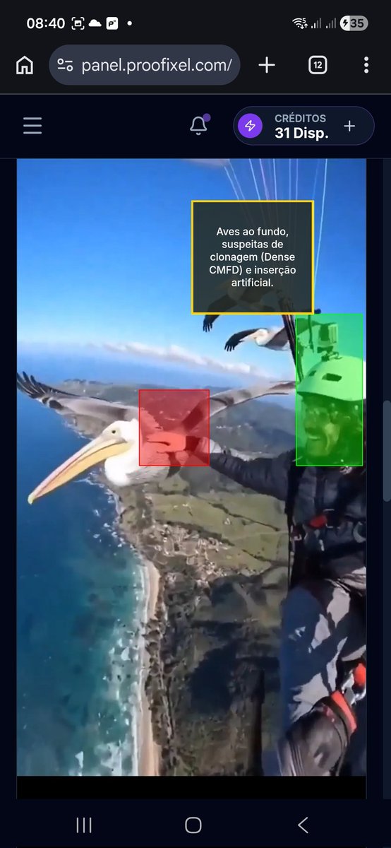 Proofixel tweet media