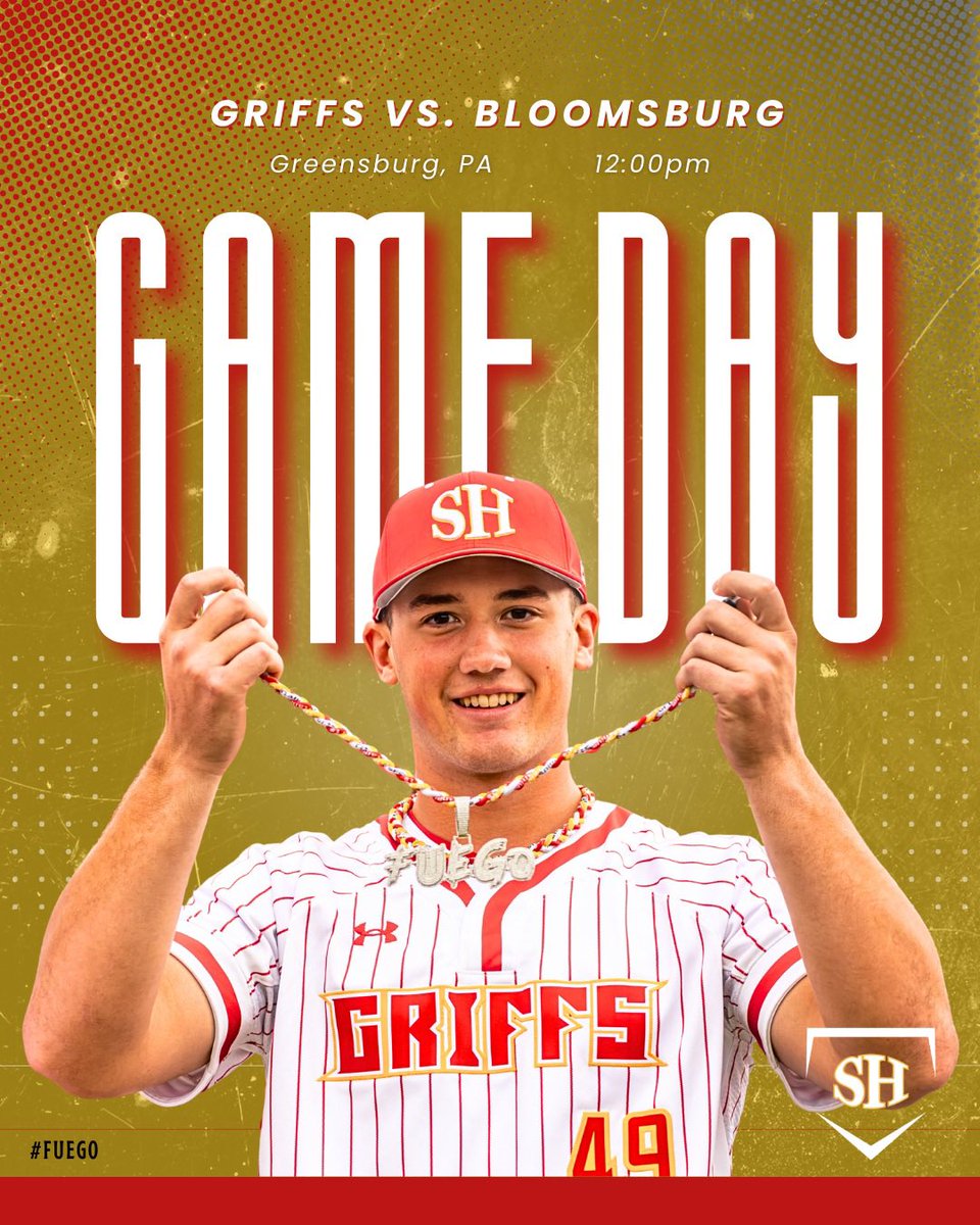 Seton Hill Baseball tweet media