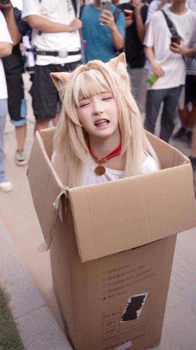 mr.bravo tweet media