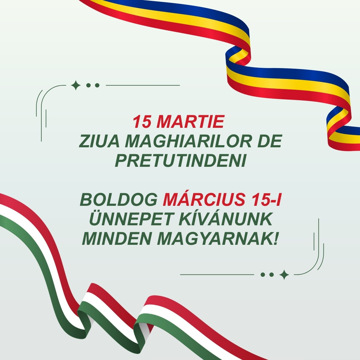 Toiu Oana tweet media