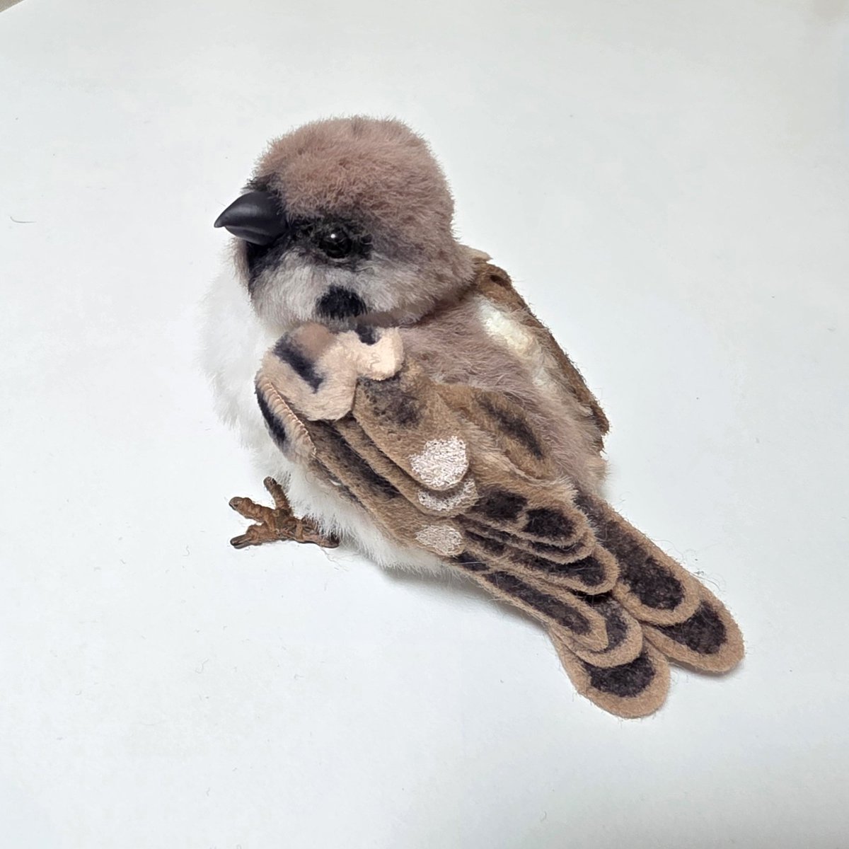 소소한 인형공방💕 tweet media