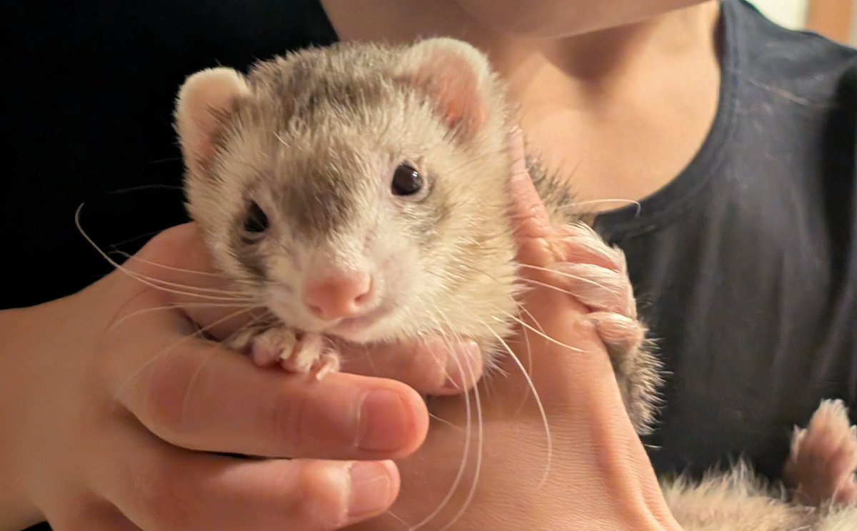 はなげ tweet media