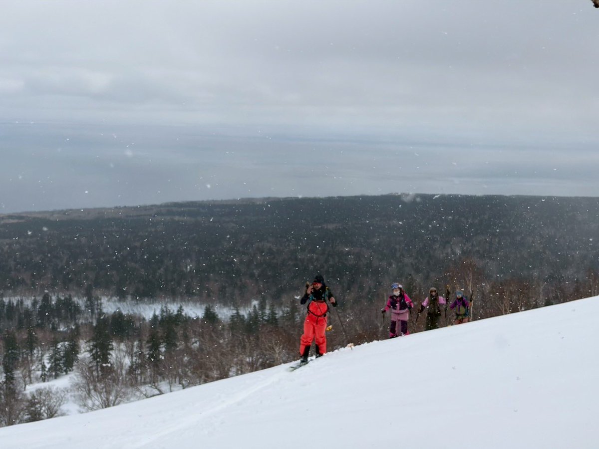 コケ太郎 tweet media