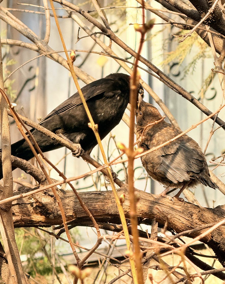 Ananya Mishra tweet media