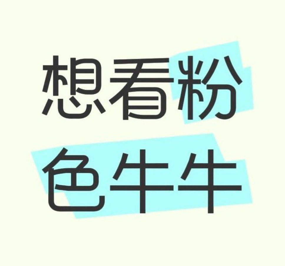 美美岚岚 tweet media