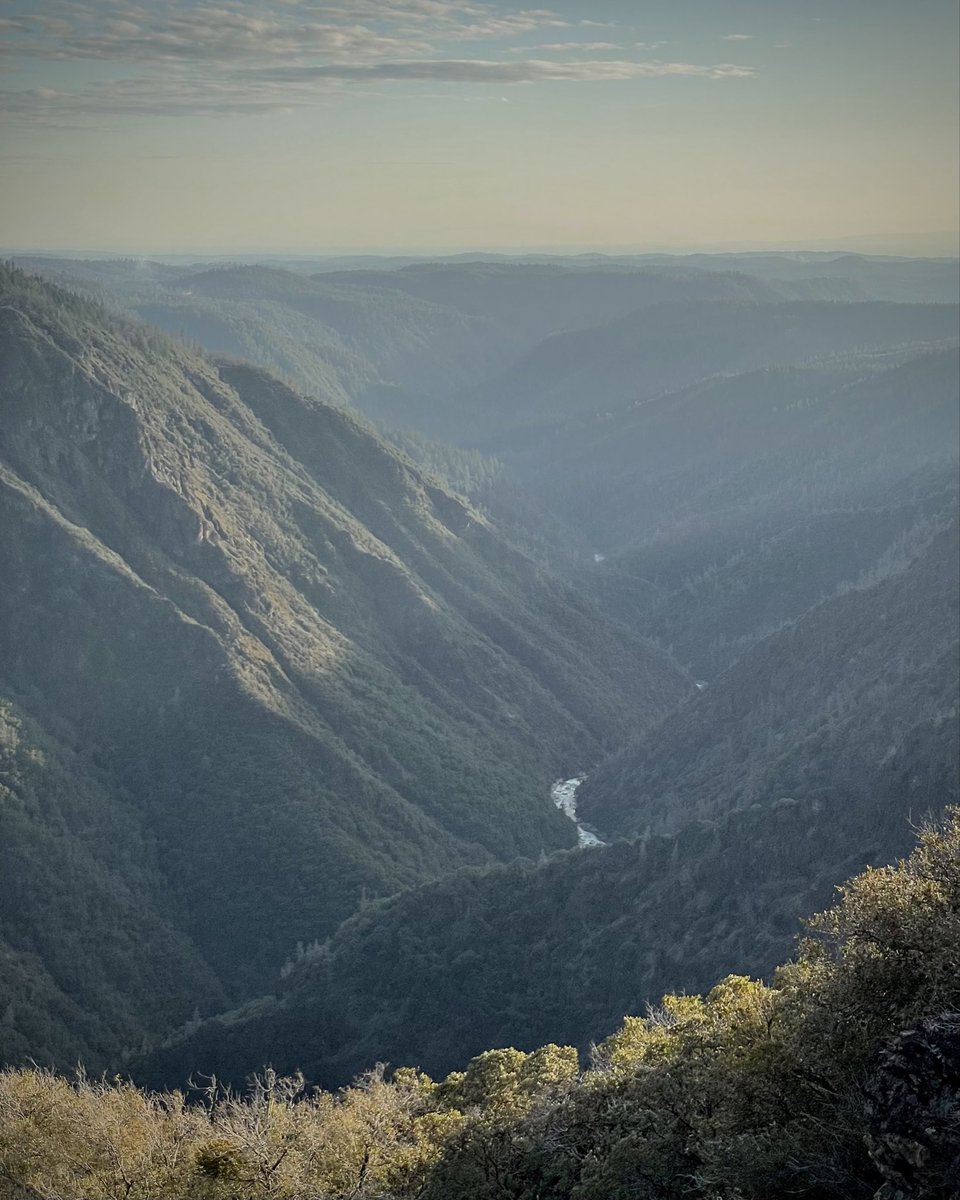 Bronze Goat tweet media