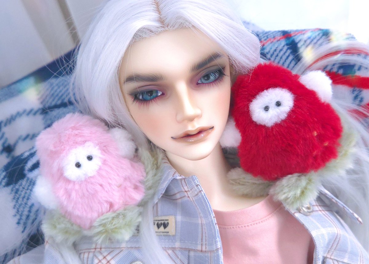 リコリス tweet media