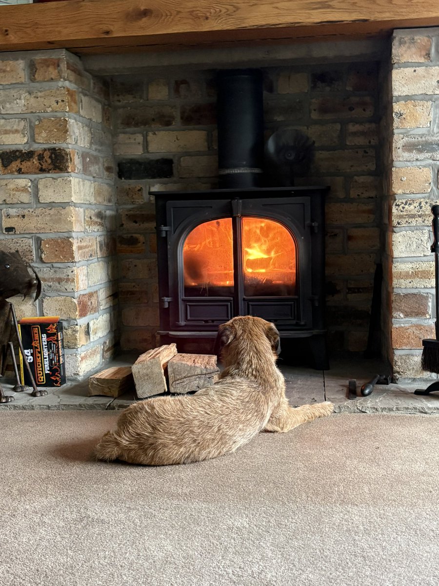 Mrs Eric & Bruce (Prof Eric 🎓) 🌈 tweet media