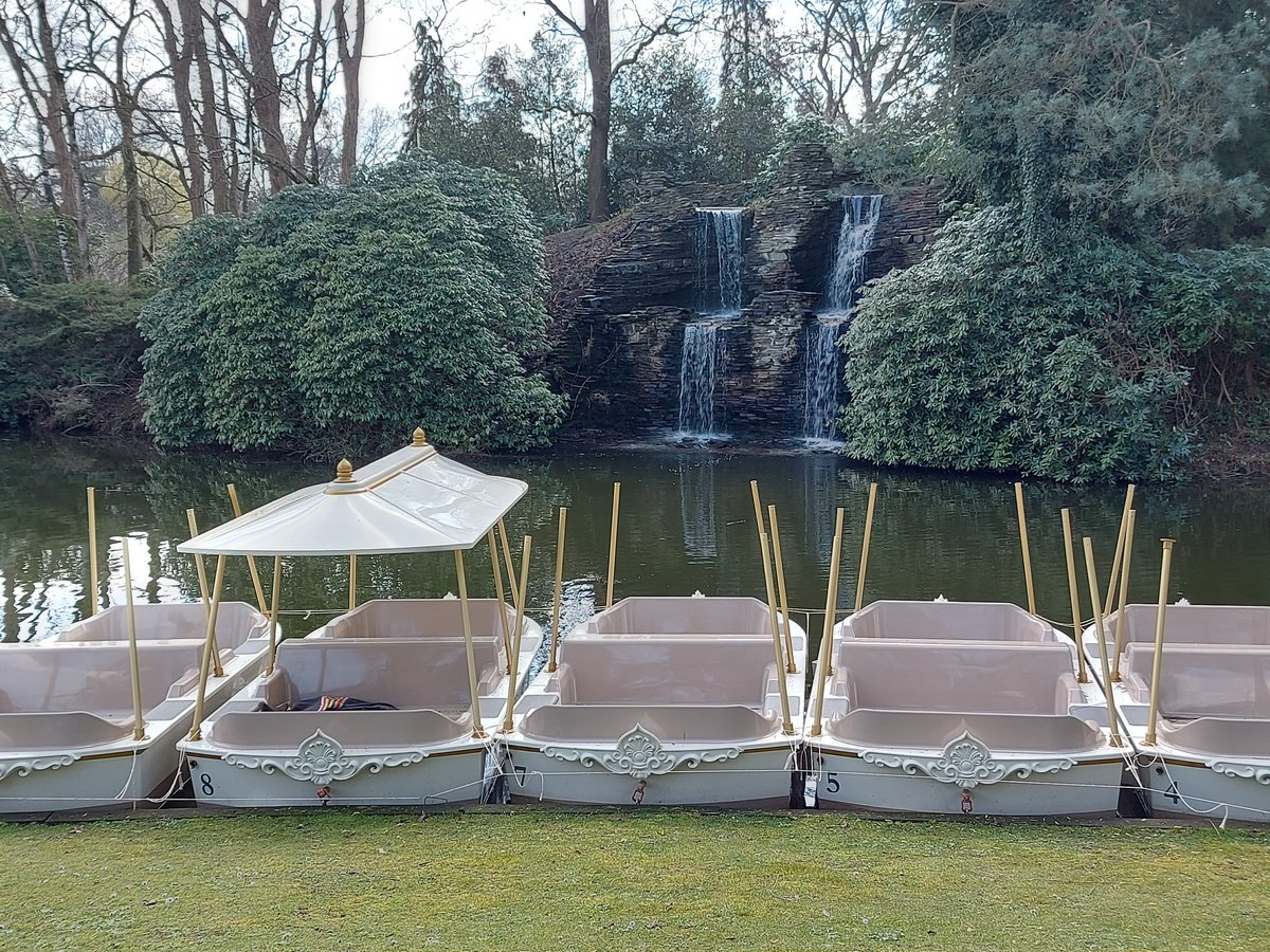 ROJApers tweet media