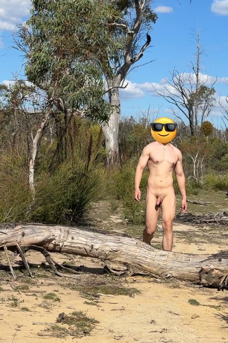 sunburnt tweet media