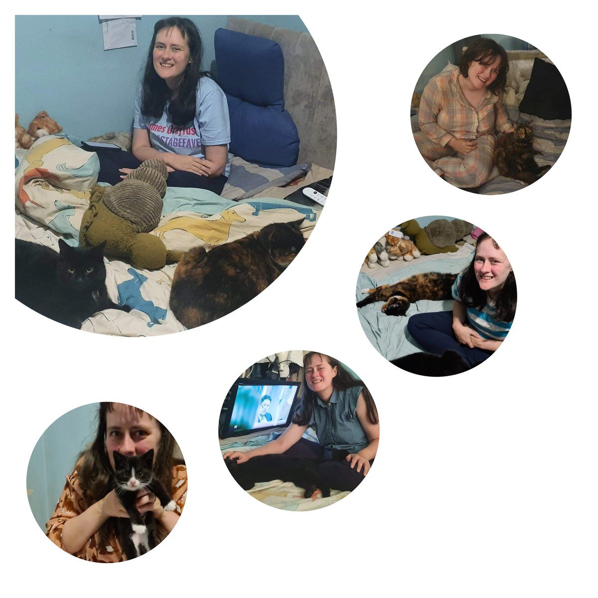 Stacy Draper #CatsDeserveBetter 🟦 tweet media