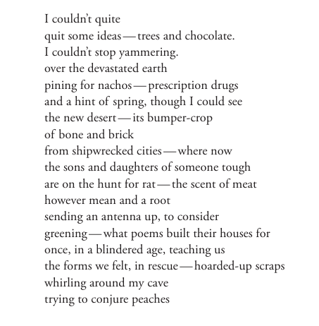 Tyler Dempsey tweet media