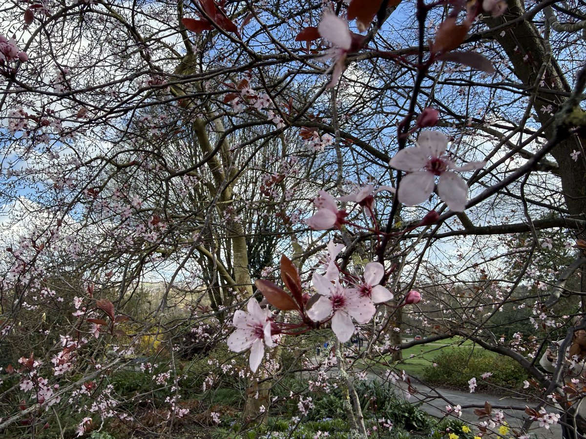 Max Chan.マックX・ちゃん tweet media