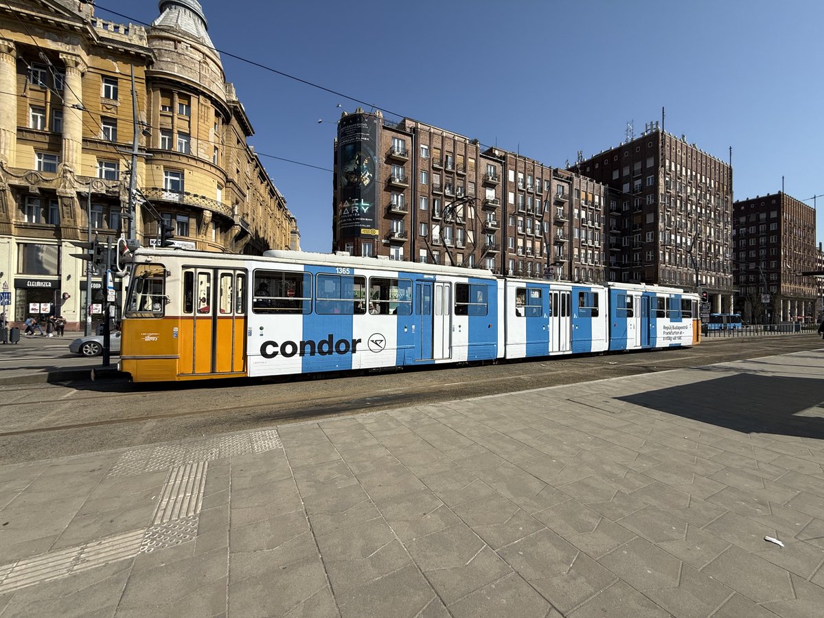 Andras Sobester tweet media