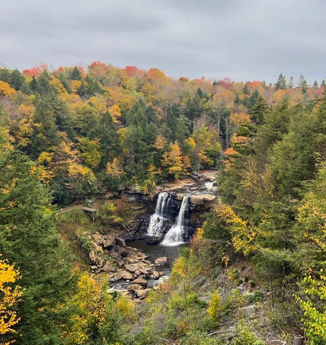 Jonathan Martin tweet media