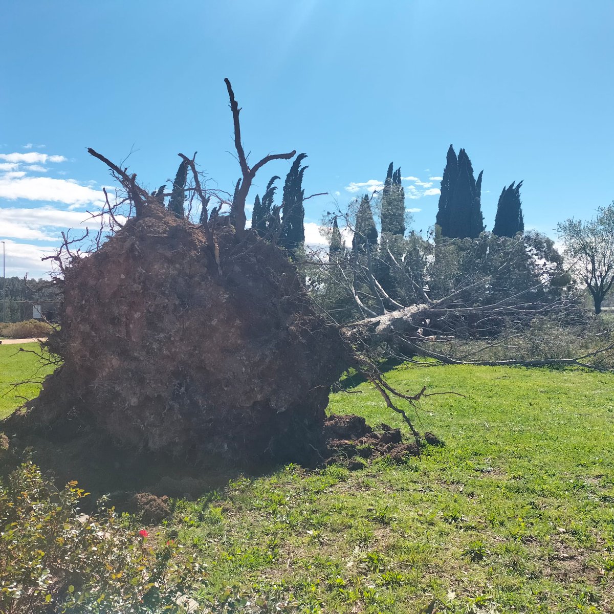 Meteo Empordà tweet media