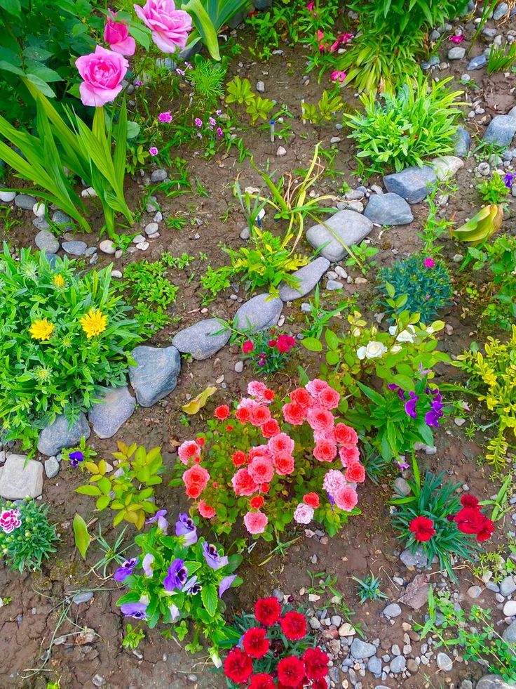 Çiçeği iyi niyet olanın, bahçesi çürümez...